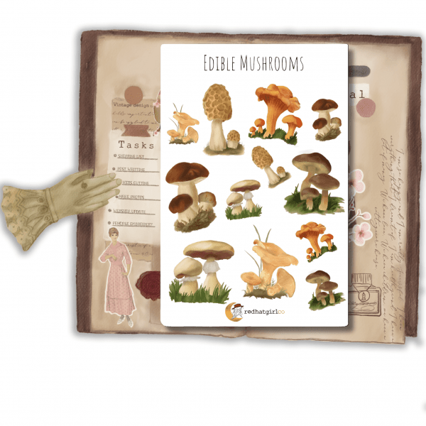 Edible mushrooms sticker sheet