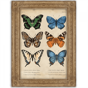 papillon print