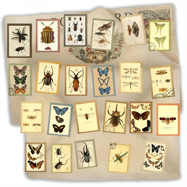 insect-and-butterfly-stamps
