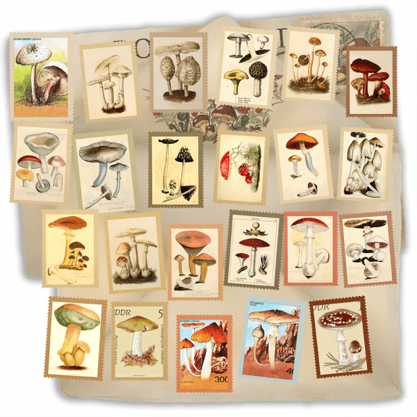 mushrooms-stamps