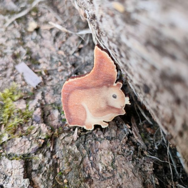 wooden-squirrel-pin5